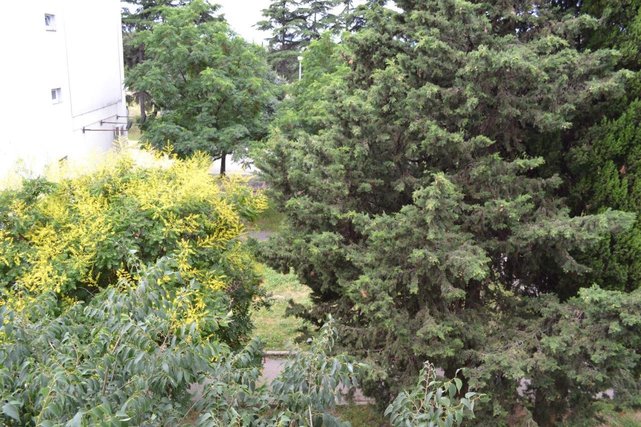 Good Vibes Apartment Zára Kültér fotó